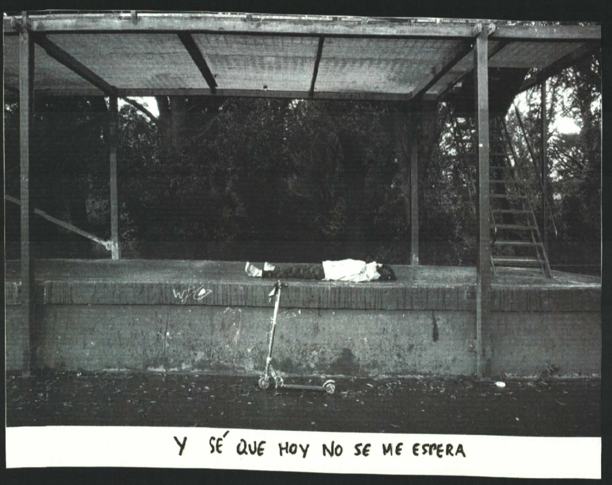 La imagen muestra a una persona tumbada en un parque y un verso con el texto 'y sé que hoy no se me espera'