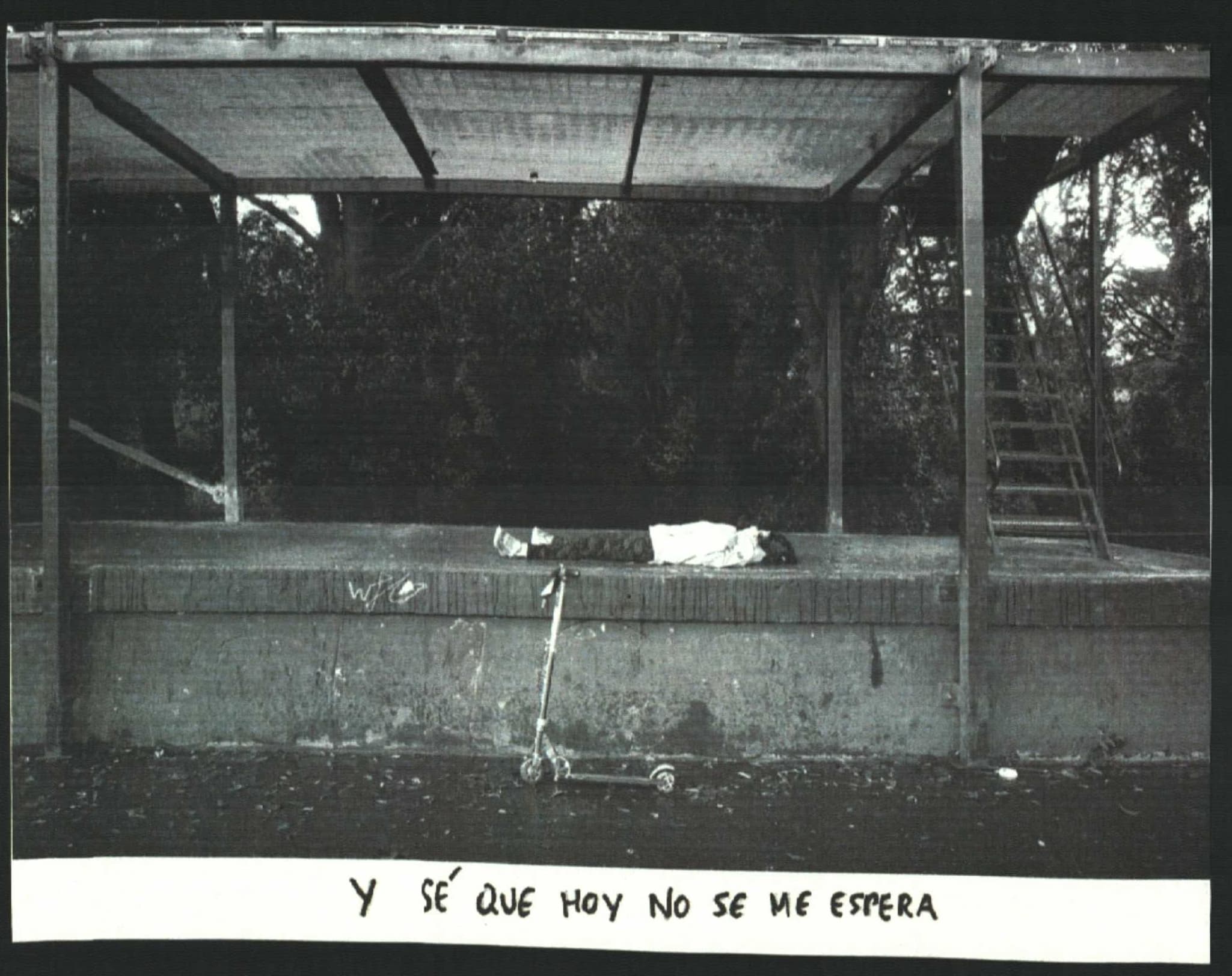 La imagen muestra a una persona tumbada en un parque y un verso con el texto 'y sé que hoy no se me espera'