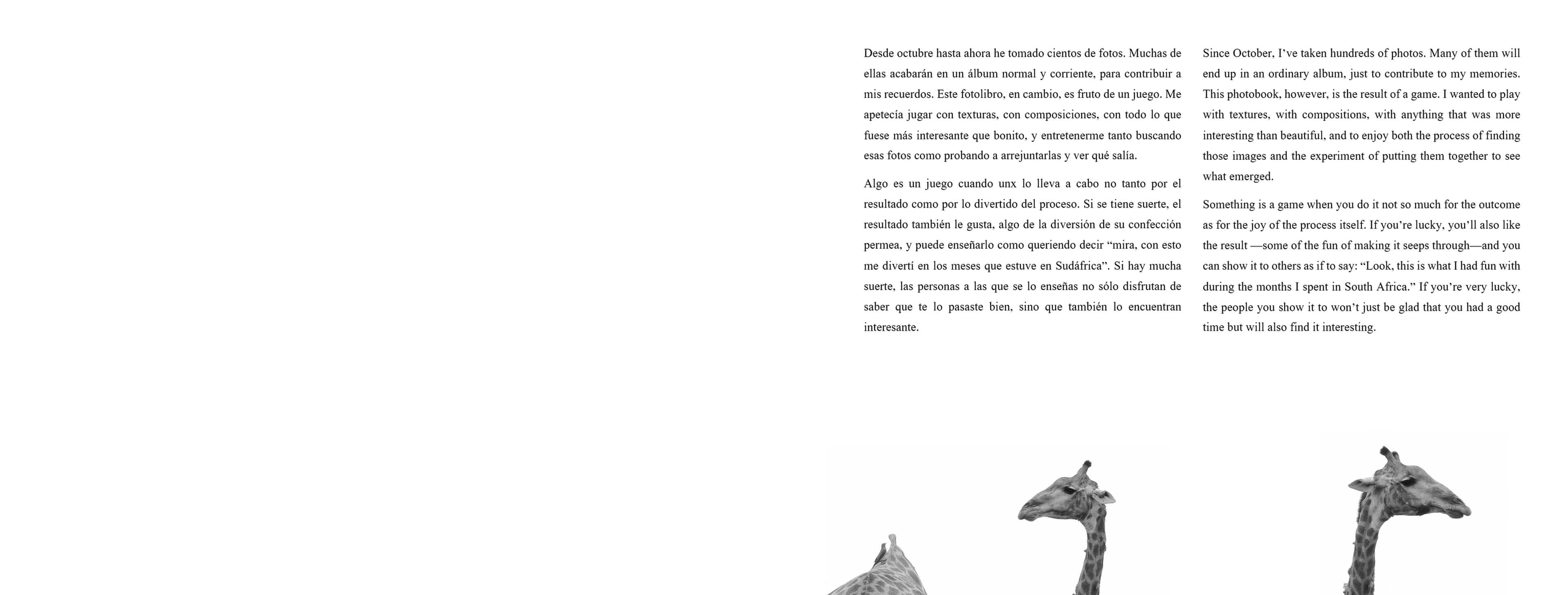 Sudáfrica — álbum de texturas, página 02
