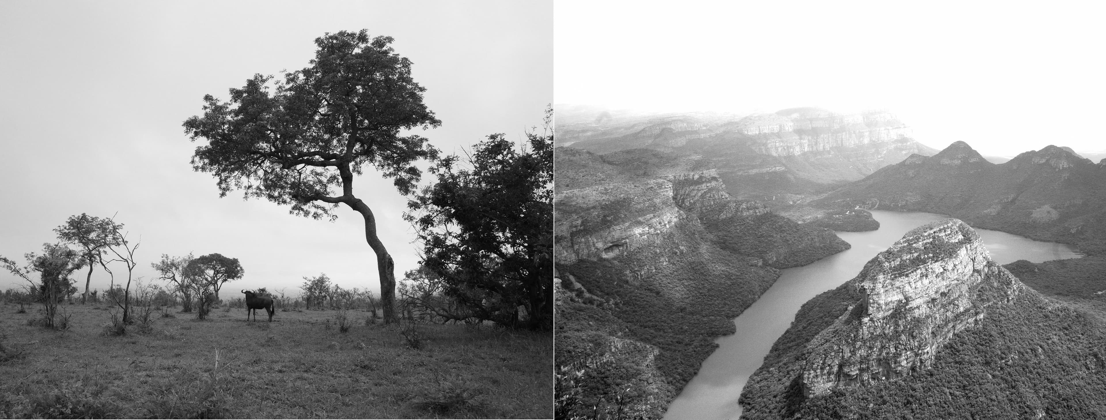 Sudáfrica — álbum de texturas, página 22