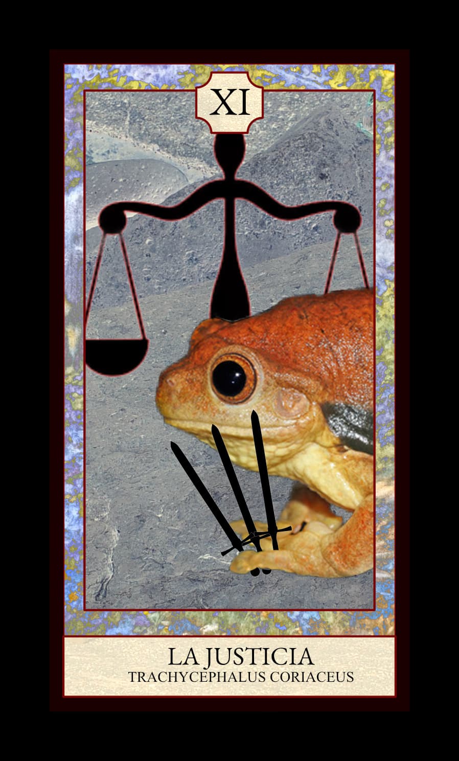 Collage digital — carta «La Justicia» del Tarot de Ranas, con la rana Trachycephalus coriaceus