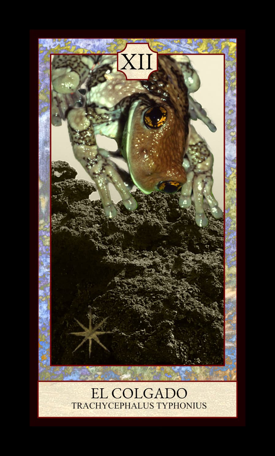 Collage digital — carta «El Colgado» del Tarot de Ranas, con la rana Trachycephalus typhonius