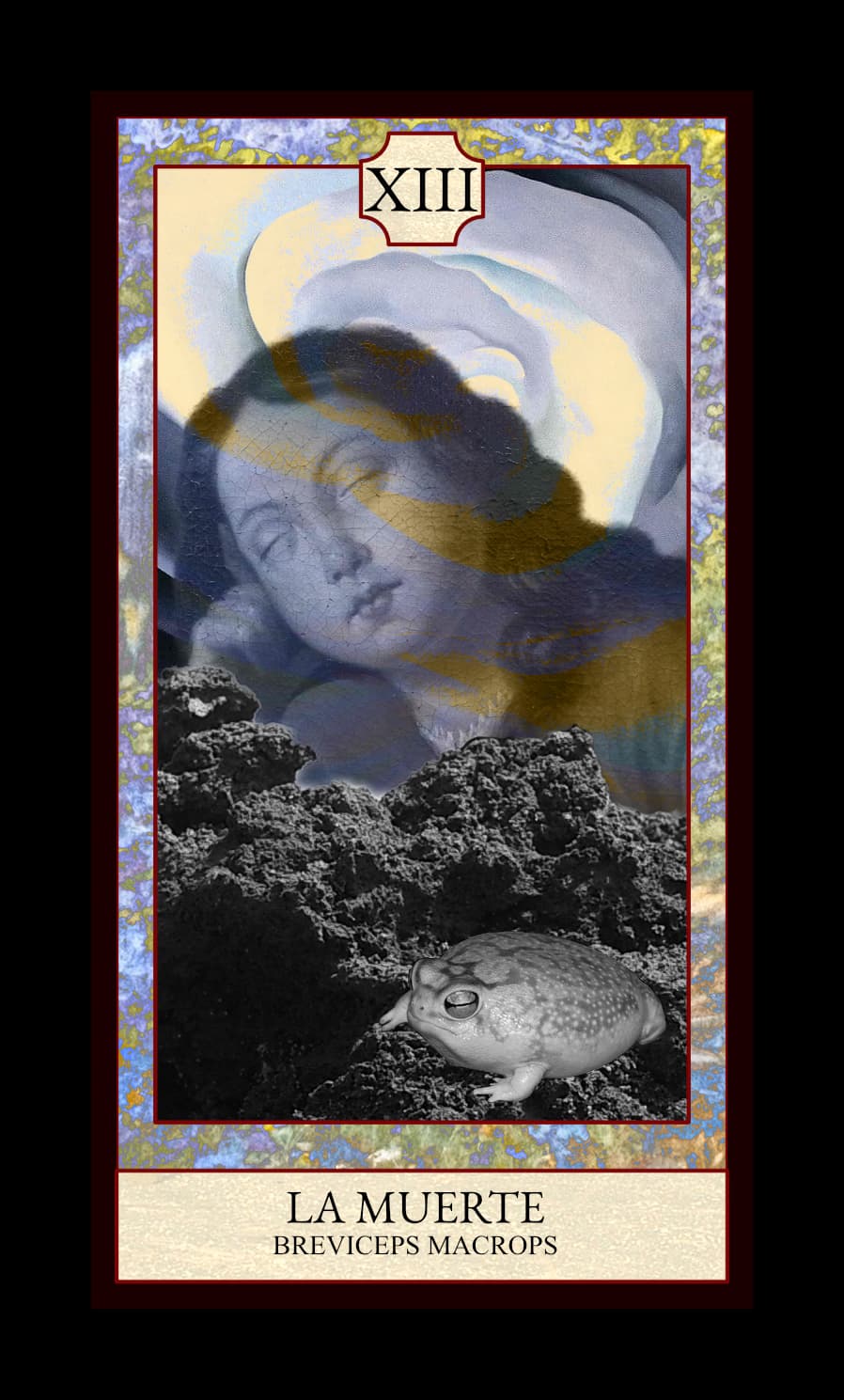 Collage digital — carta «La Muerte» del Tarot de Ranas, con la rana Breviceps macrops