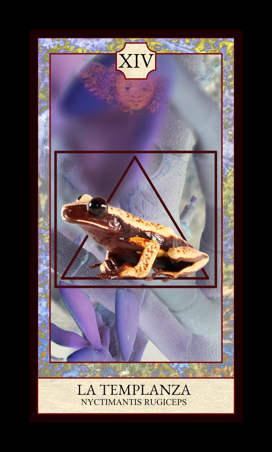 Collage digital — carta «La Templanza» del Tarot de Ranas, con la rana Nyctimantis rugiceps