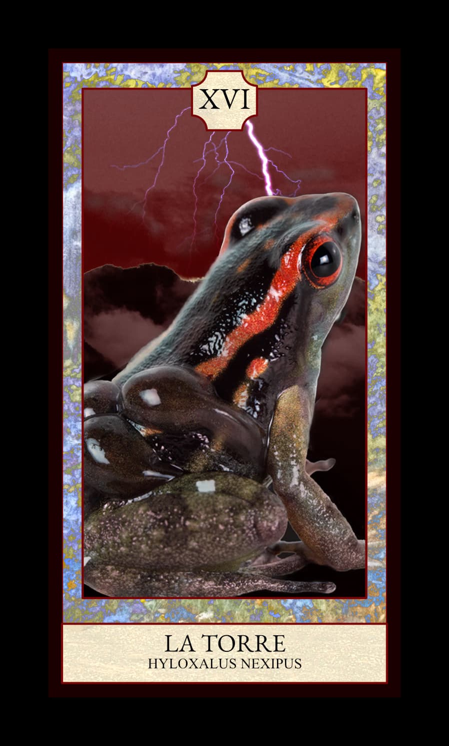Collage digital — carta «La Torre» del Tarot de Ranas, con la rana Hyloxalus nexipus