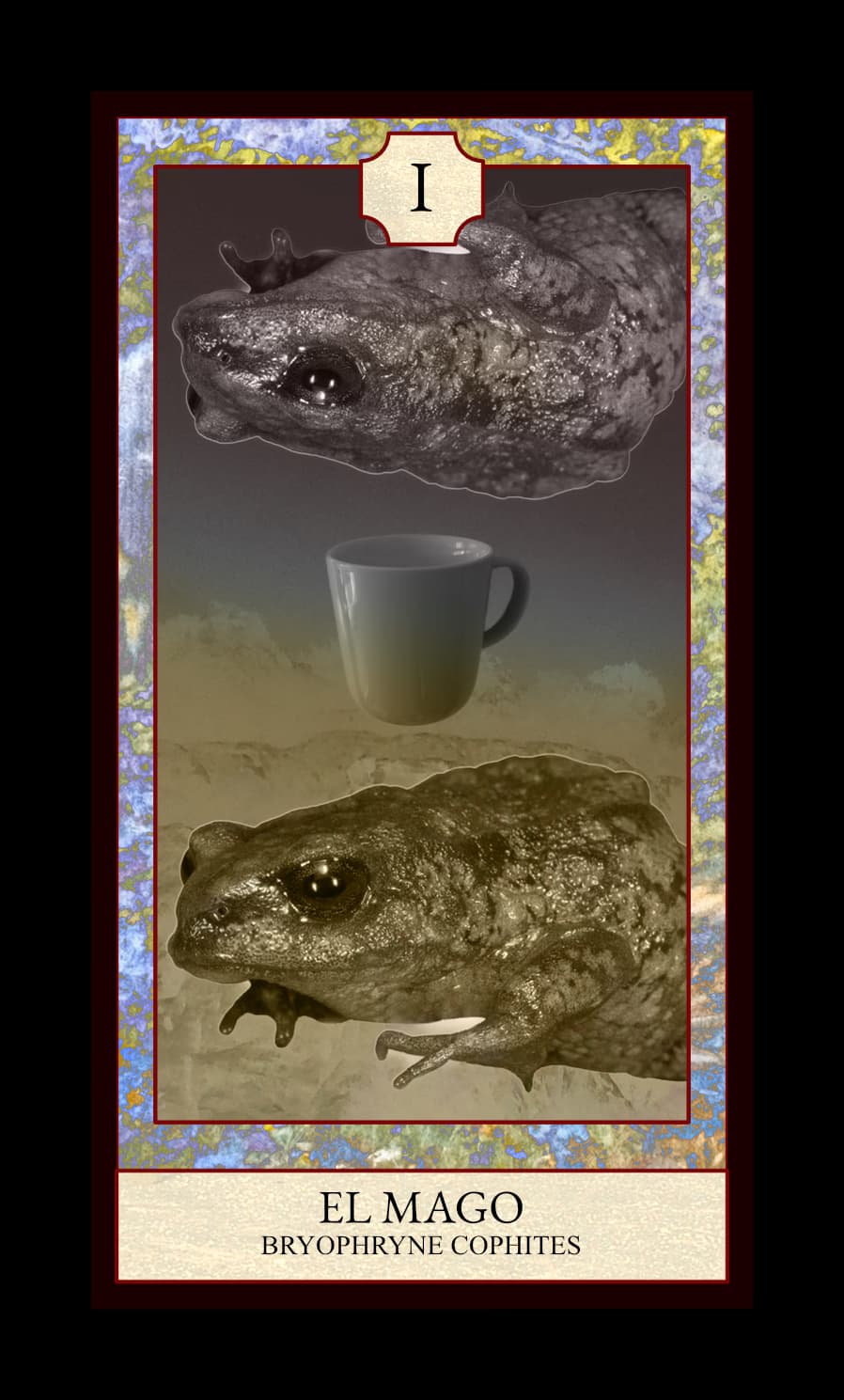 Collage digital — carta «El Mago» del Tarot de Ranas, con la rana Bryophryne cophites