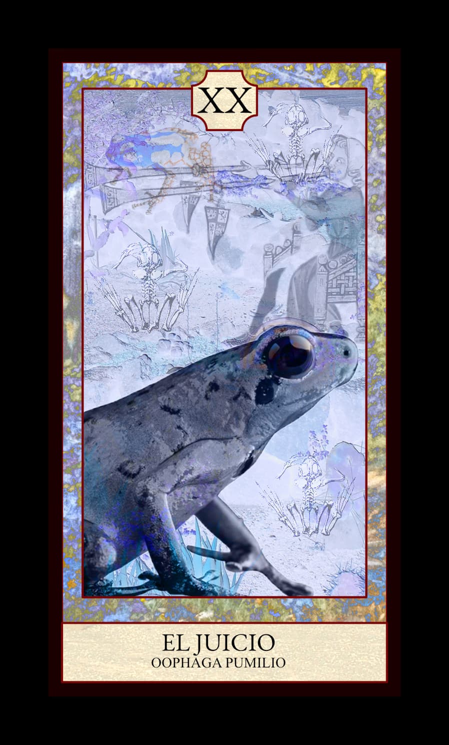 Collage digital — carta «El Juicio» del Tarot de Ranas, con la rana Oophaga pumilio