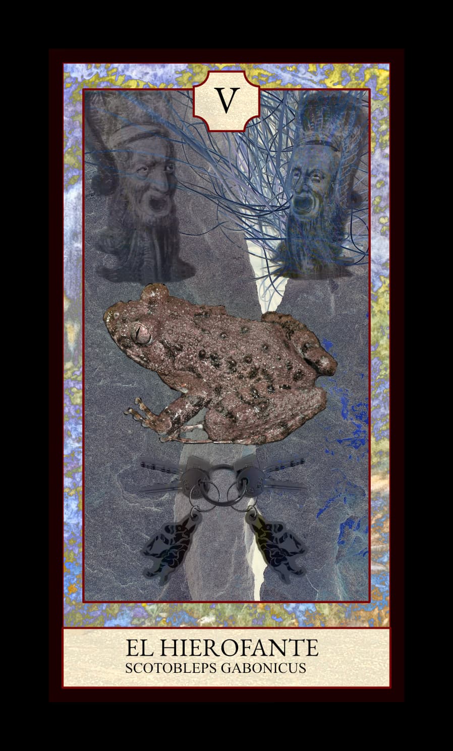 Collage digital — carta «El Hierofante» del Tarot de Ranas, con la rana Scotobleps gabonicus