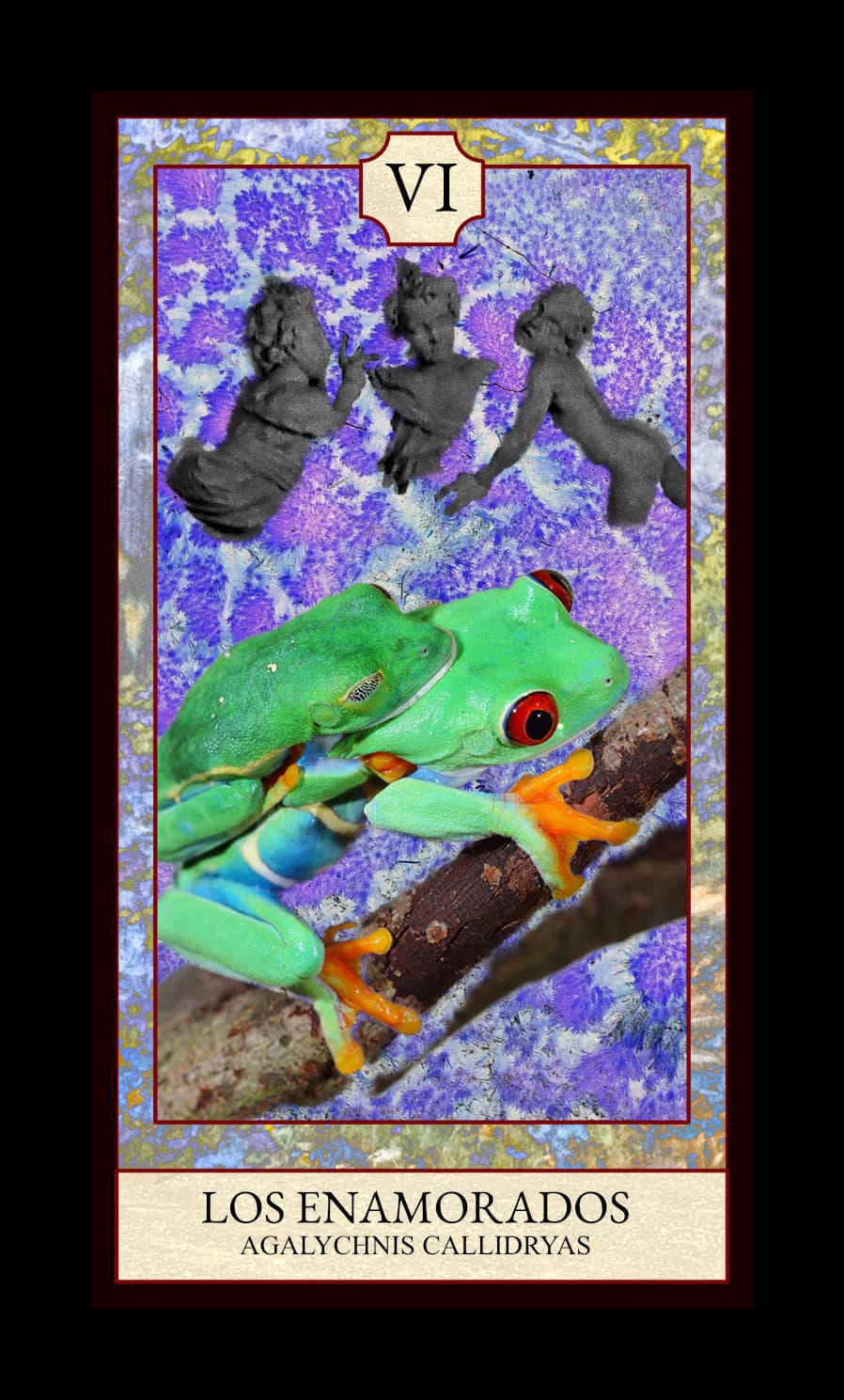 Collage digital — carta «Los Enamorados» del Tarot de Ranas, con la rana Agalychnis callidryas