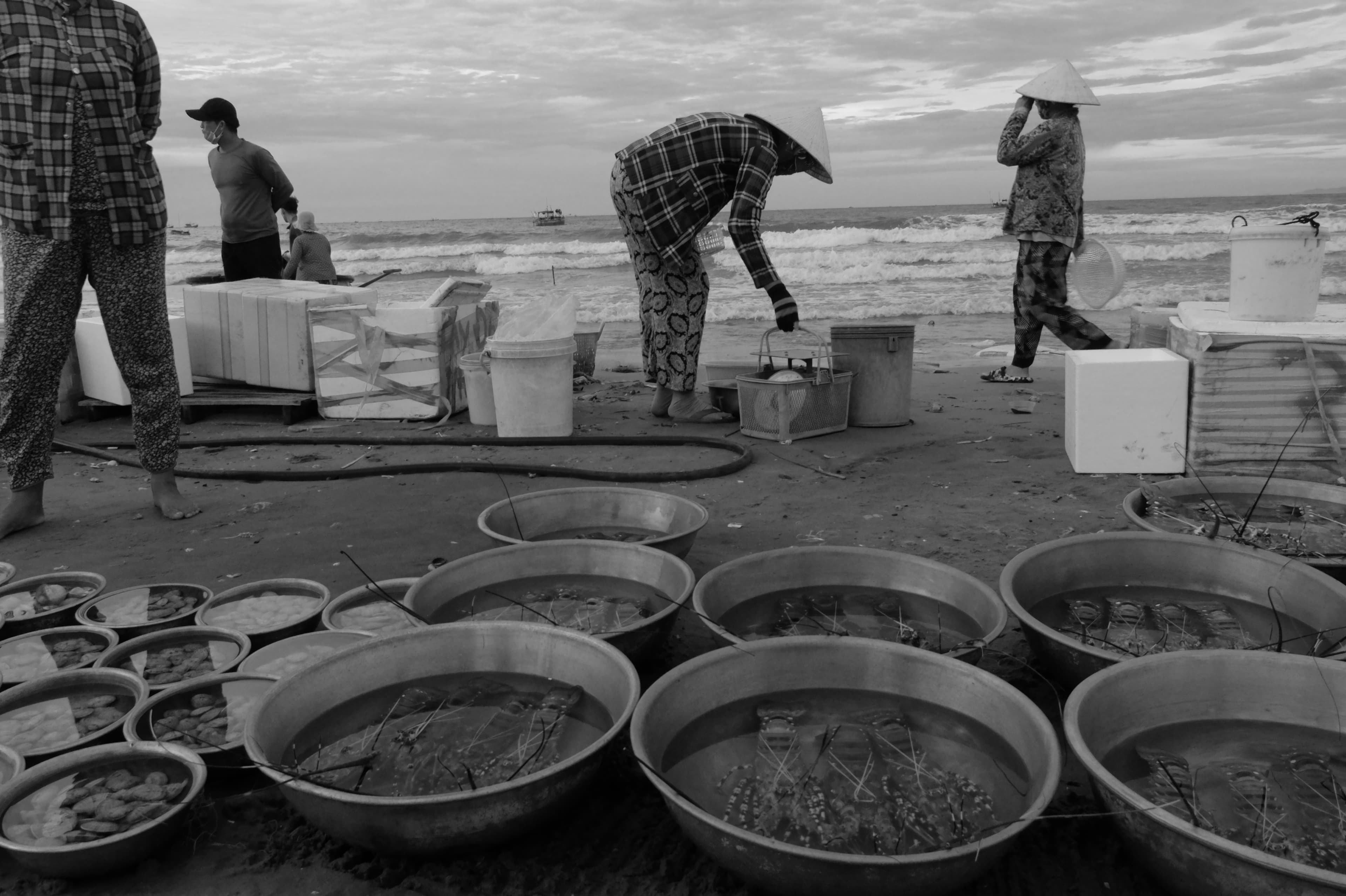 Vietnam, agosto 2024