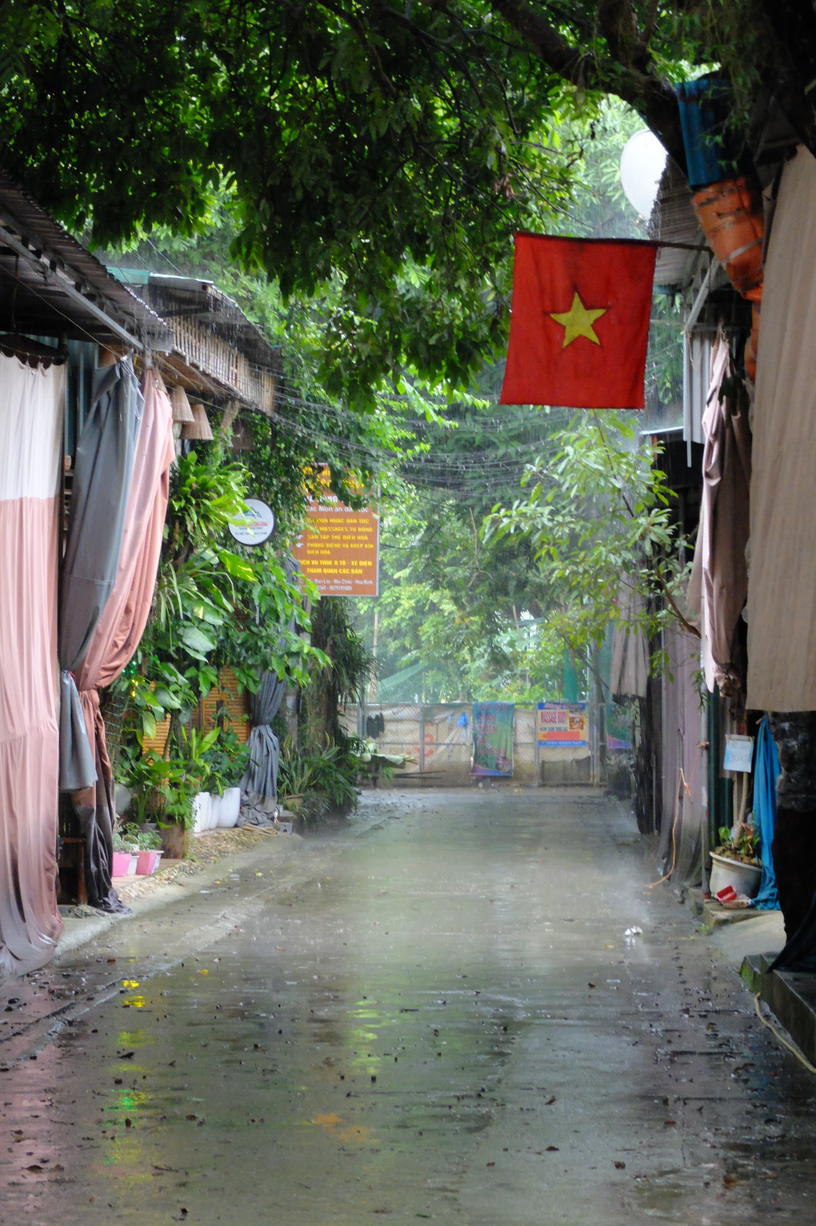 Vietnam, agosto 2024