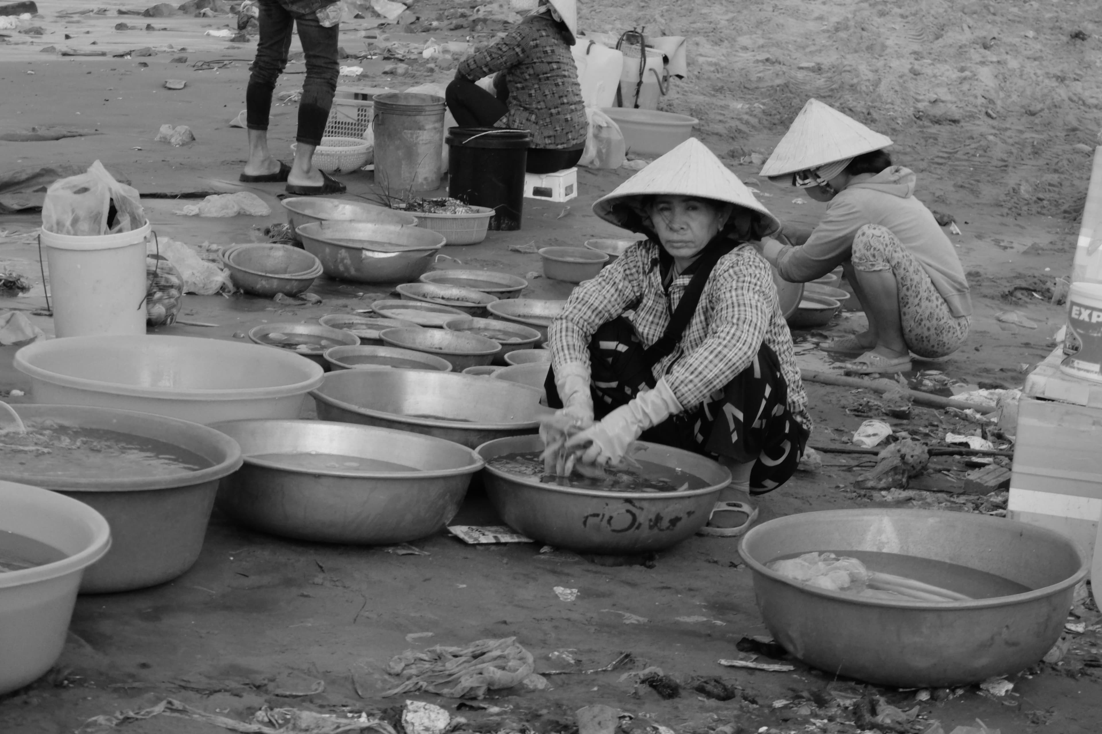 Retrato, Vietnam