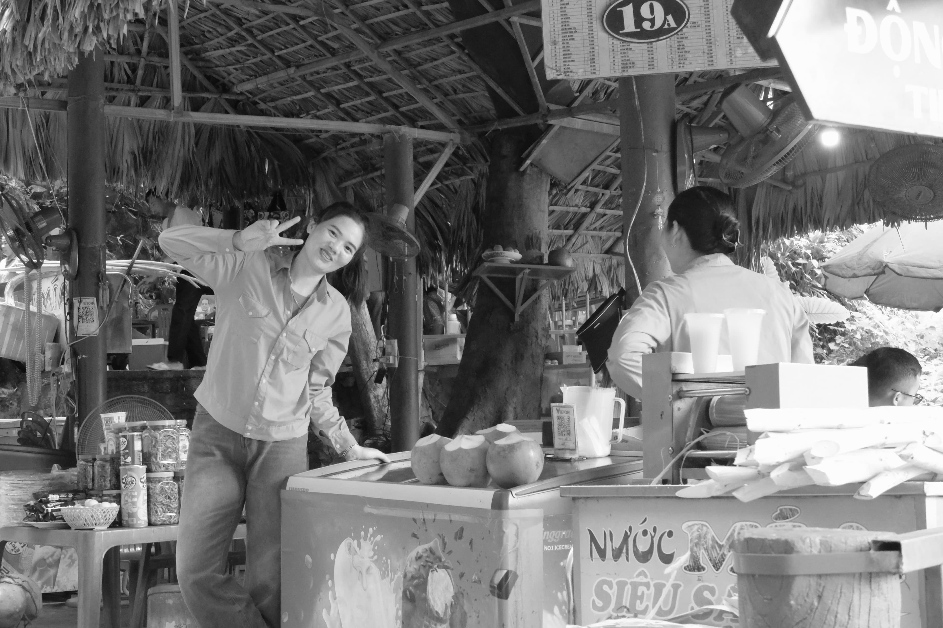 Retrato, Vietnam