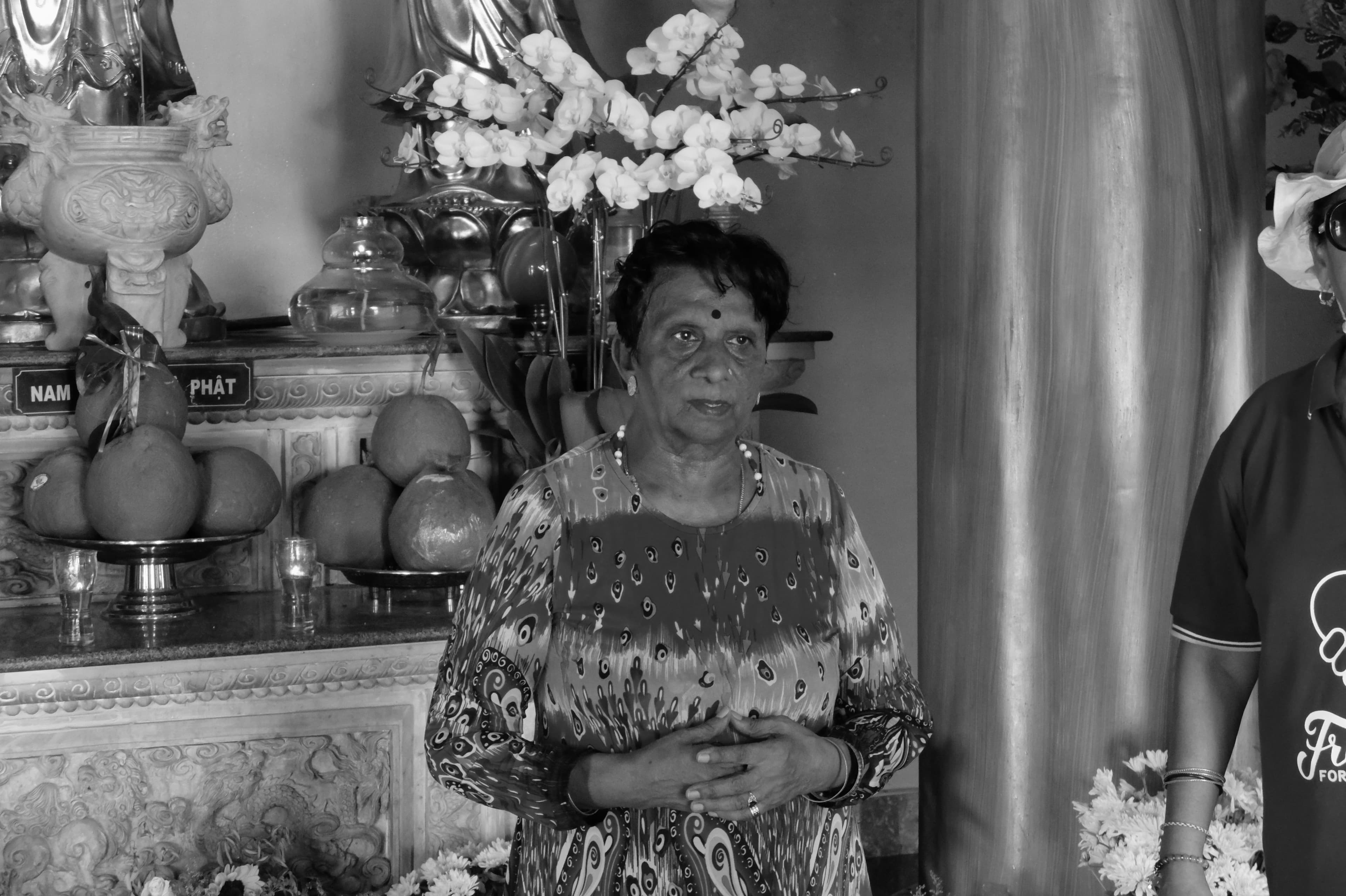 Retrato, Vietnam