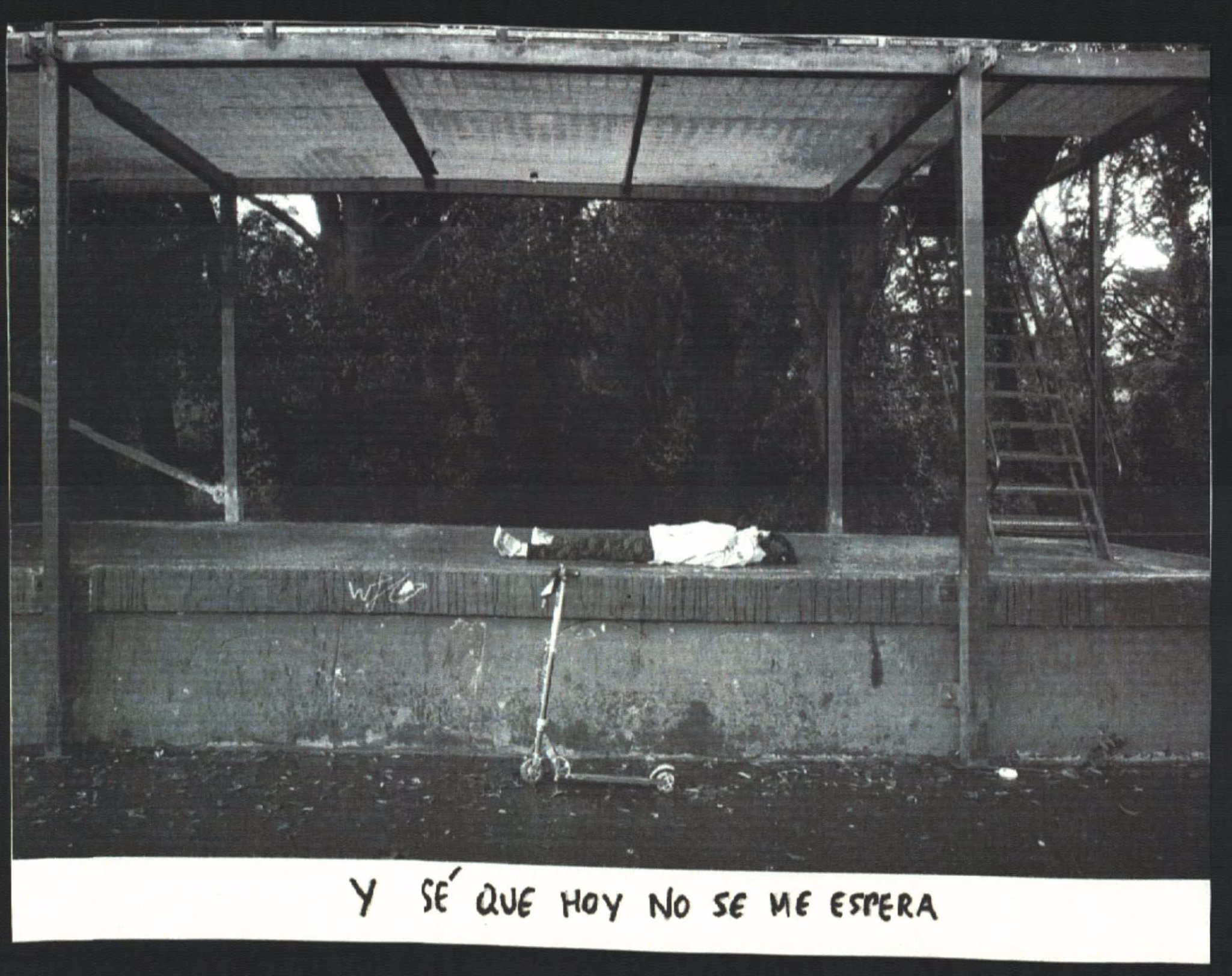 La imagen muestra a una persona tumbada en un parque y un verso con el texto 'y sé que hoy no se me espera'
