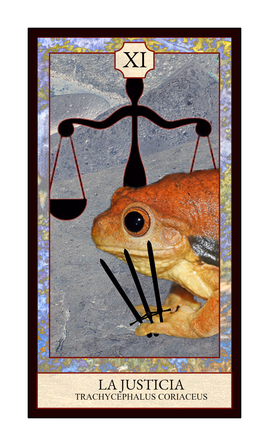 Collage digital — carta «La Justicia» del Tarot de Ranas, con la rana Trachycephalus coriaceus