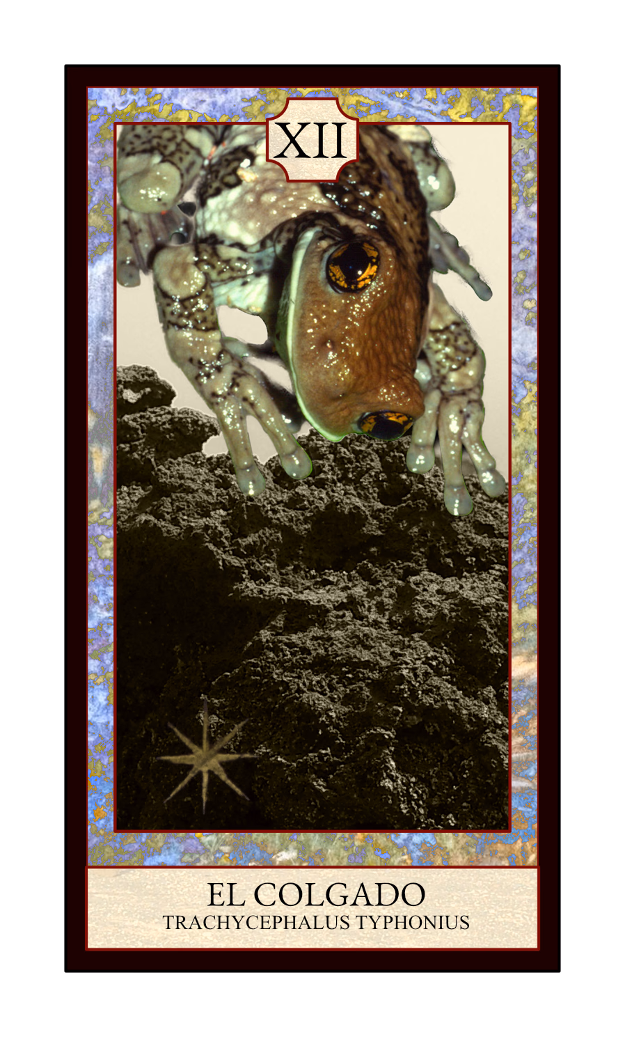 Collage digital — carta «El Colgado» del Tarot de Ranas, con la rana Trachycephalus typhonius