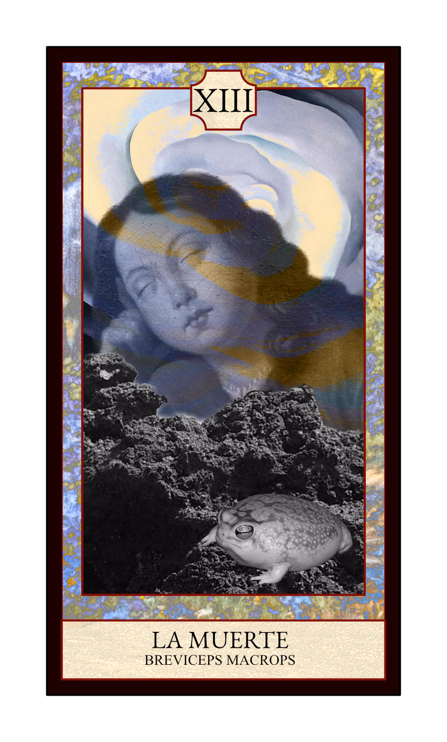 Collage digital — carta «La Muerte» del Tarot de Ranas, con la rana Breviceps macrops