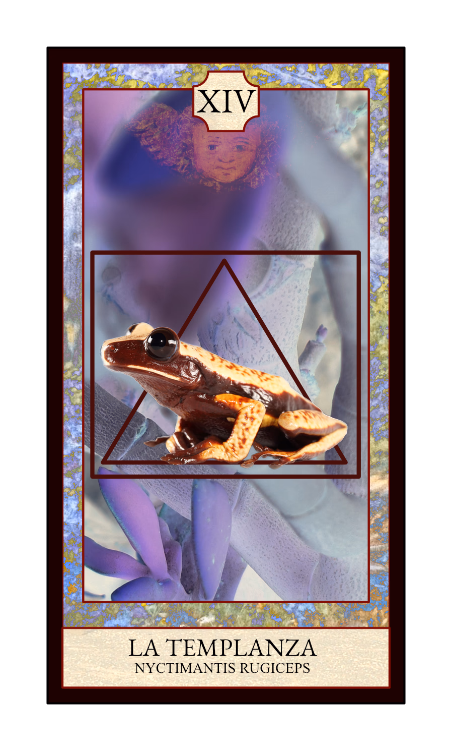 Collage digital — carta «La Templanza» del Tarot de Ranas, con la rana Nyctimantis rugiceps