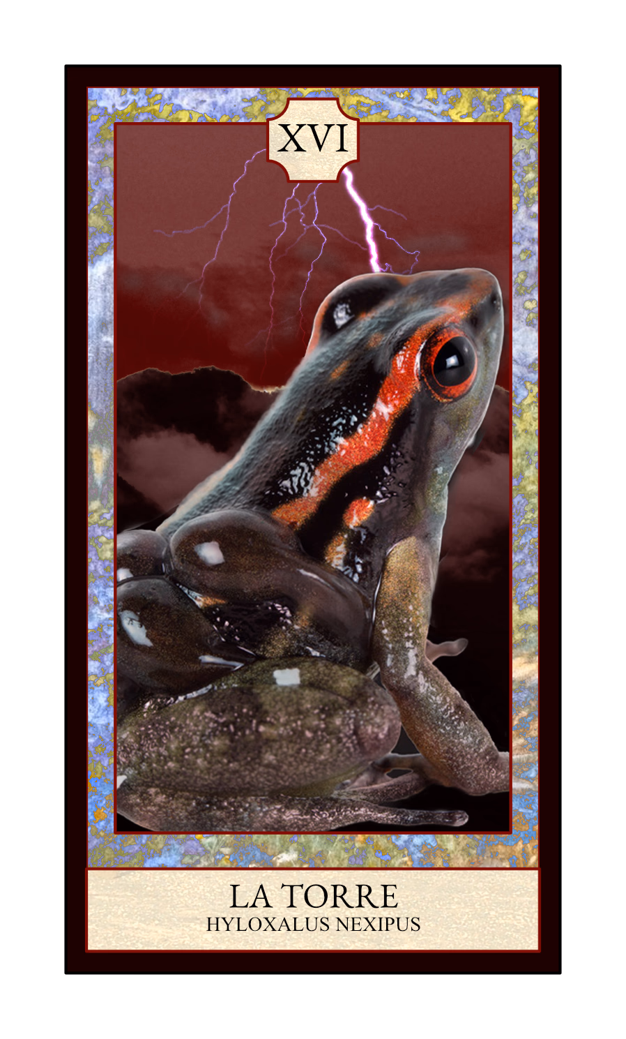 Collage digital — carta «La Torre» del Tarot de Ranas, con la rana Hyloxalus nexipus