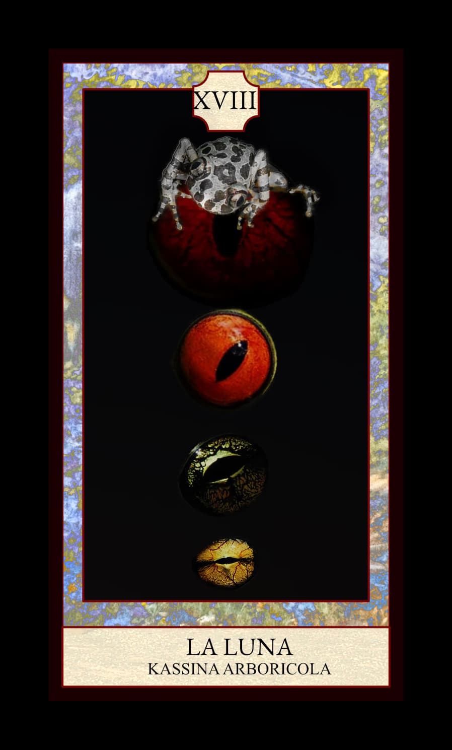 Reverso del Tarot de Ranas, collage digital