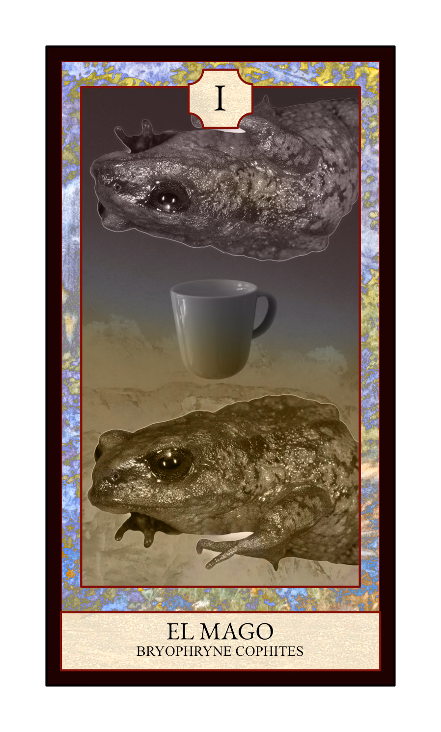 Collage digital — carta «El Mago» del Tarot de Ranas, con la rana Bryophryne cophites