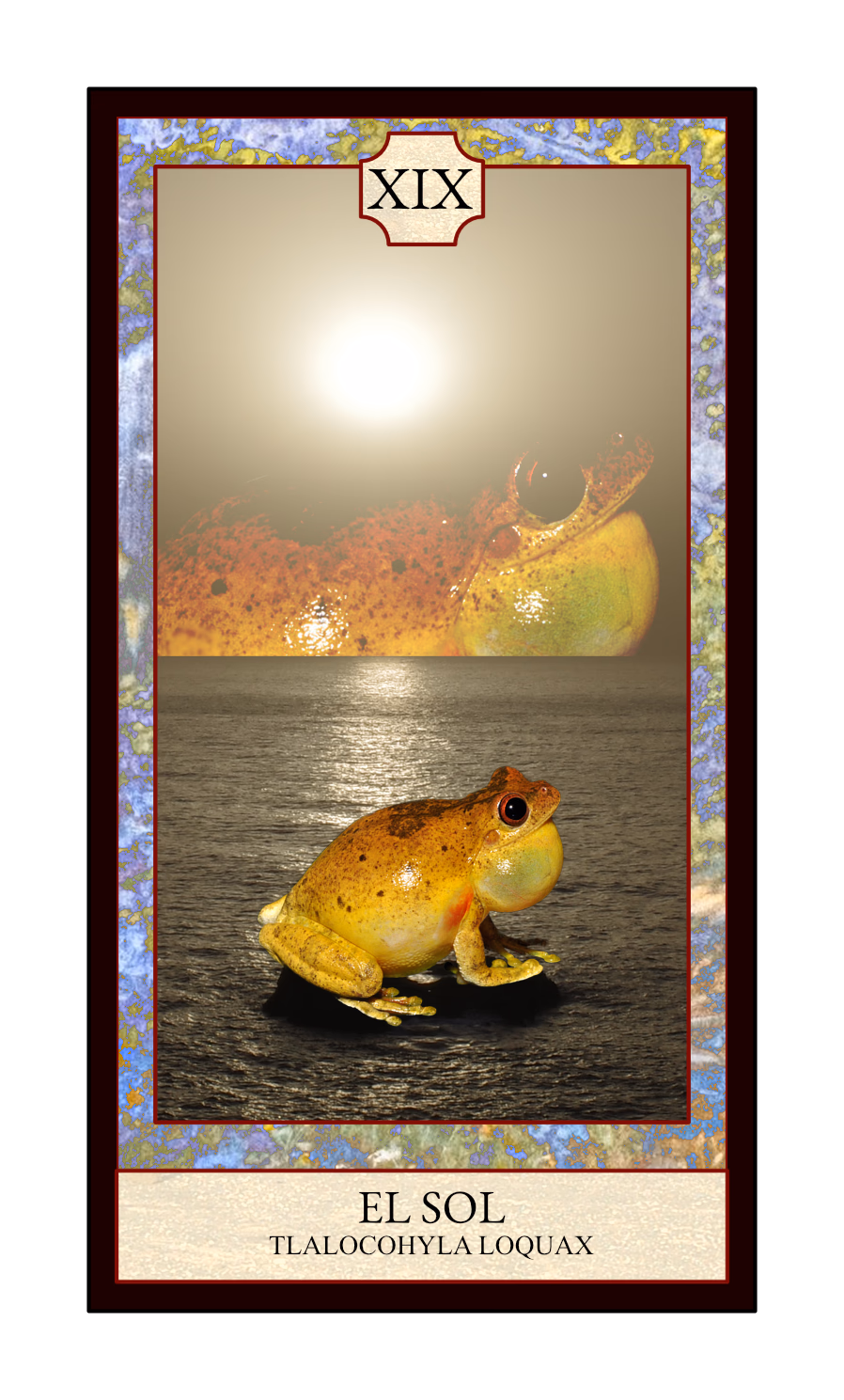 Collage digital — carta «El Sol» del Tarot de Ranas, con la rana Tlalocohyla loquax
