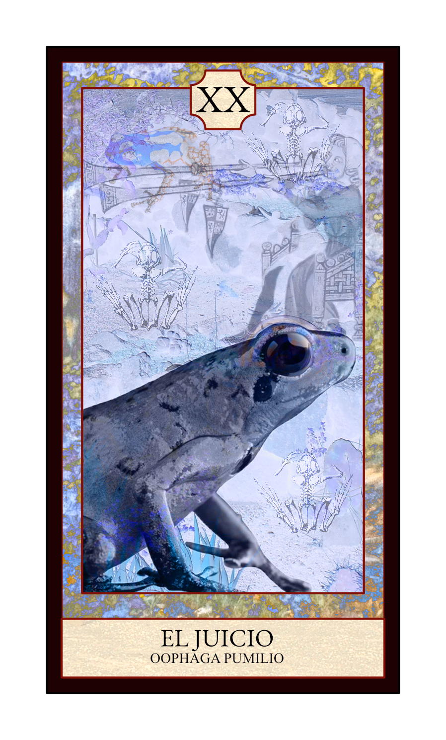 Collage digital — carta «El Juicio» del Tarot de Ranas, con la rana Oophaga pumilio