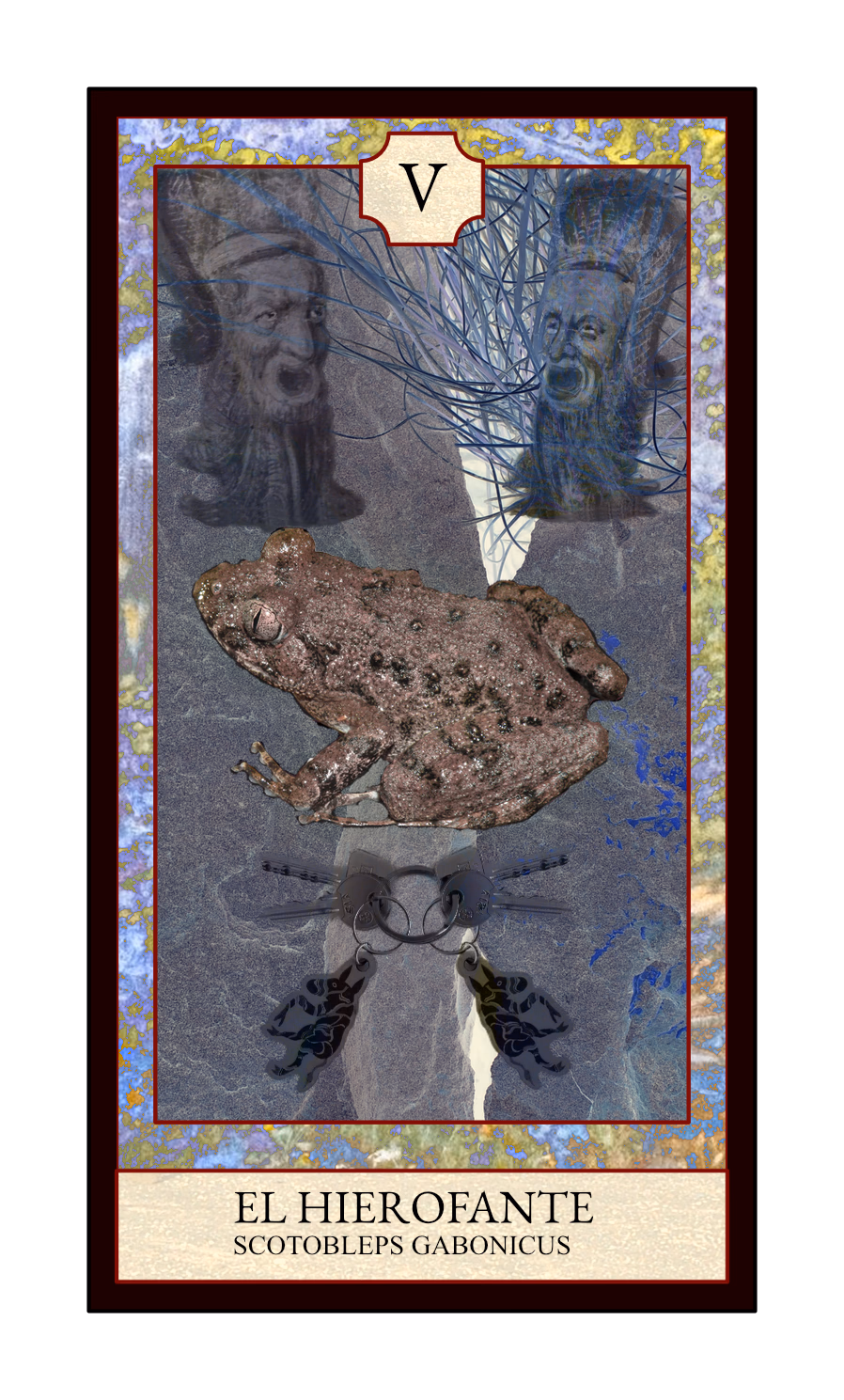 Collage digital — carta «El Hierofante» del Tarot de Ranas, con la rana Scotobleps gabonicus