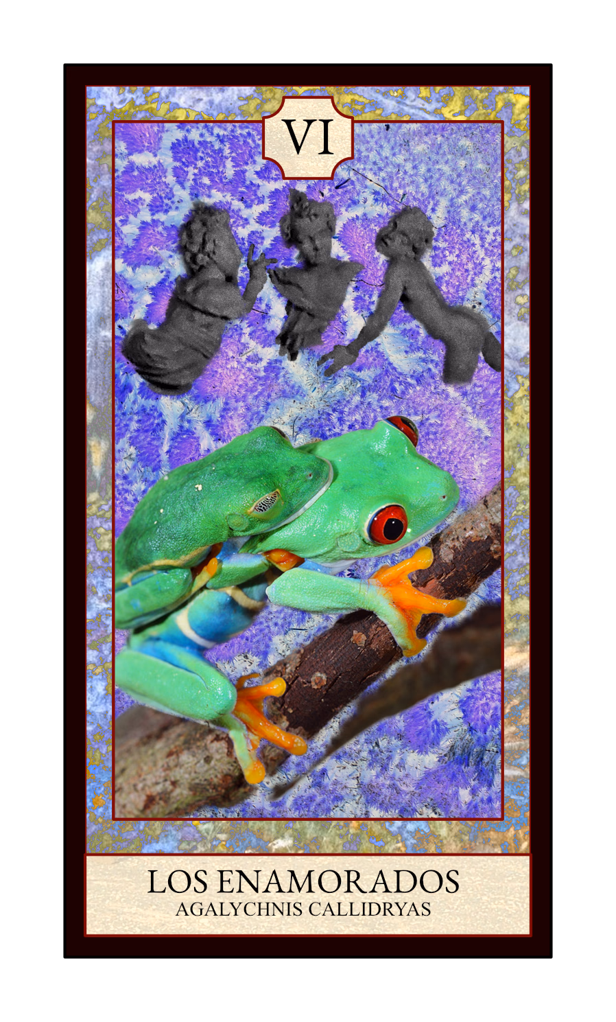 Collage digital — carta «Los Enamorados» del Tarot de Ranas, con la rana Agalychnis callidryas